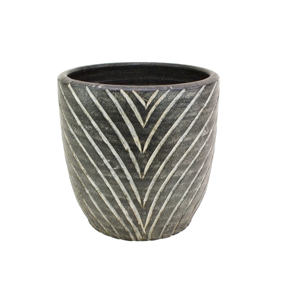 ���顼�ƥ饳�å�ȭ ����ȭ  �֥�å�M 9�� �� �������