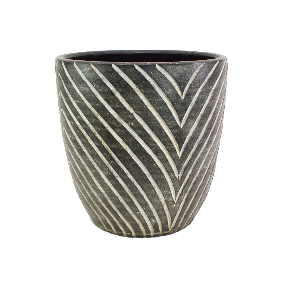 ���顼�ƥ饳�å�ȭ ����ȭ  �֥�å�L 12�� �� �������