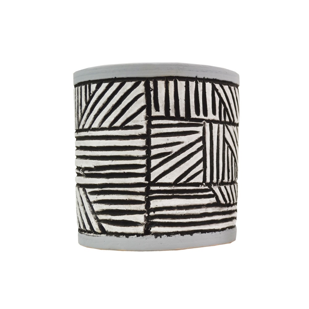 �ƥ饳�å�ȭ ����ȭ  �������S 5�� �� �������