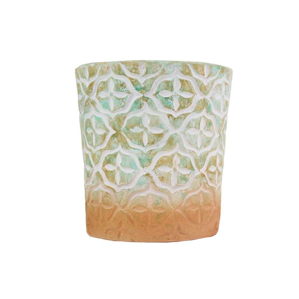 �ƥ饳�å�ȭ ����ȭ  �ե롼��S 5�� �� �������