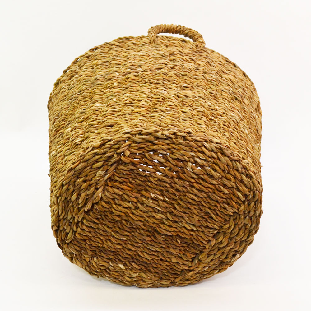 ۥ ȭ ץ󥿡С XL 10ȭ Ǽ 