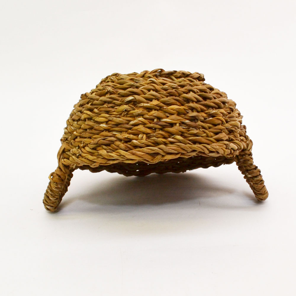 �ۥ��� �ݤ��� S ��Ǽ�Х����å� ��ʪ���� ���ä��� ����