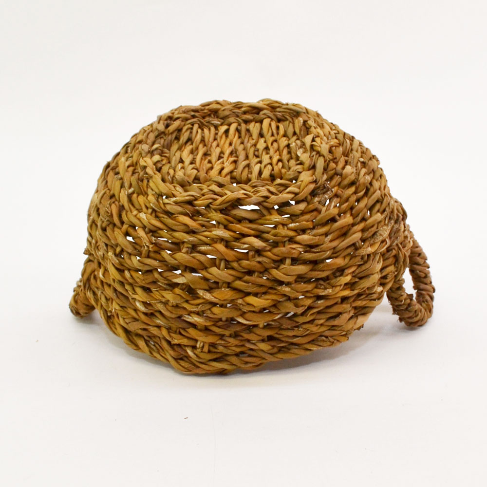 �ۥ��� �ݤ��� S ��Ǽ�Х����å� ��ʪ���� ���ä��� ����