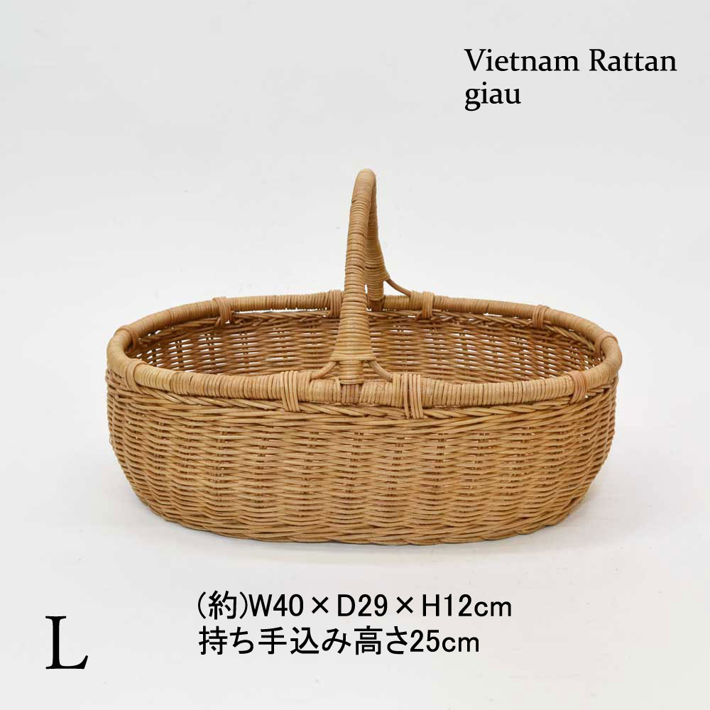 �饿���������Хå� ��Ƚ�� �Х����å� ���� �ʱ� L ����