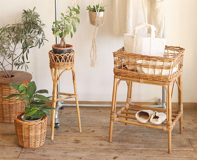 饿ɥ꡼ ɥХå Ǽ ۤ