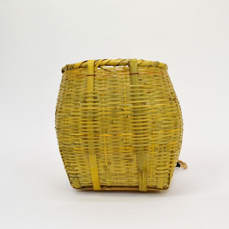 ���� ���餤�� ���礤���� �ݾ� ���餤���� ���å� ��