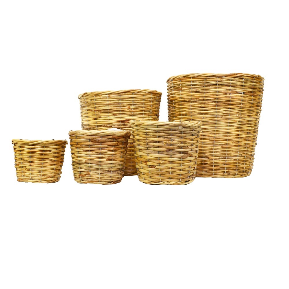 ���դ��饿��ȭ���С� SS �ץ�󥿡����С� 4���� �ۤ���