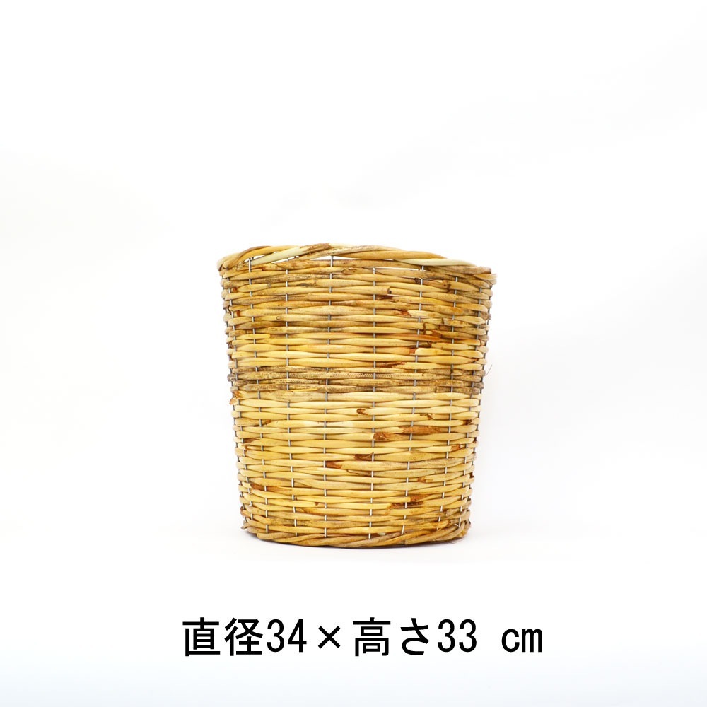 ���դ��饿��ȭ���С� L �ץ�󥿡����С� 8���� �ۤ���