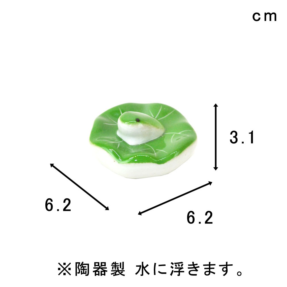 �⤭�� ϡ��ꥫ���� ������ �⤭�� ƫ�� ��ȭ ���ȭ ��