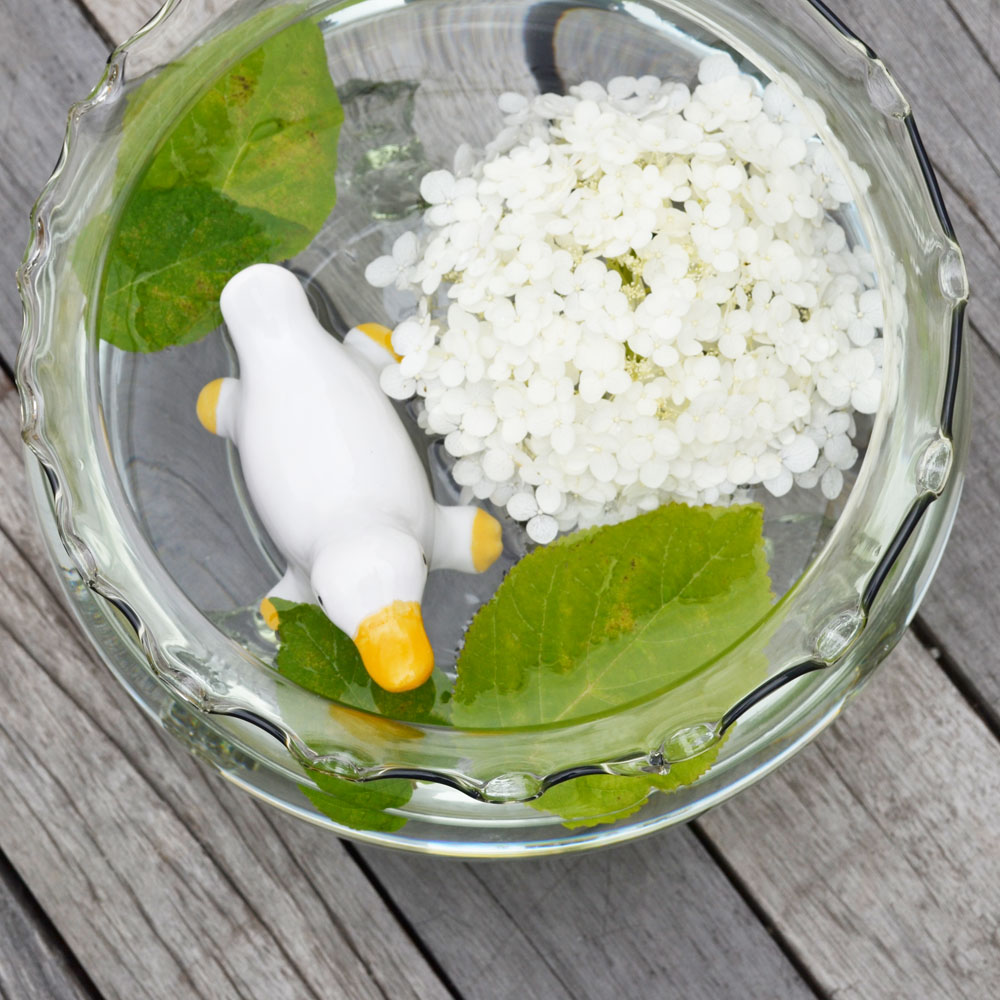 ⤭ Υϥ  ⤭ ƫ ȭ ȭѾ