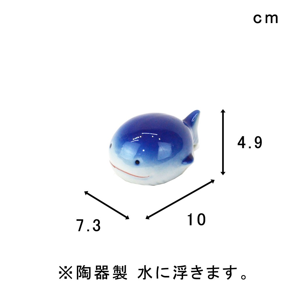 �⤭�� ������L �� ������ �⤭�� ƫ�� ��ȭ ���ȭ��