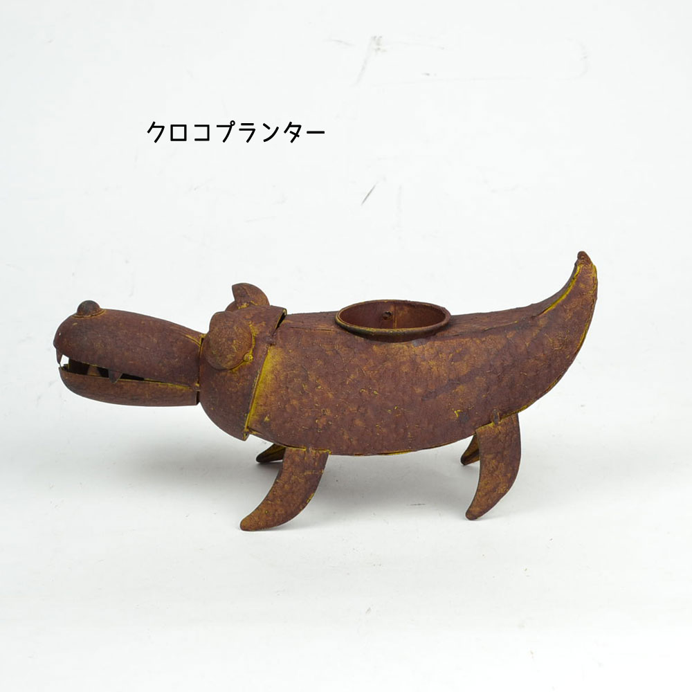 �֥ꥭ���꡼�� �������ץ�󥿡� ����� ��ʪ ��� ���