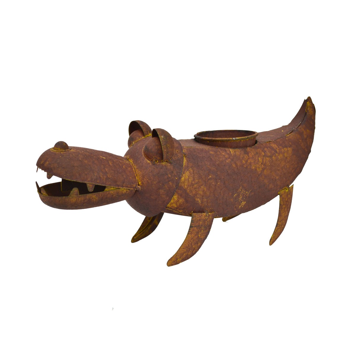 �֥ꥭ���꡼�� �������ץ�󥿡� ����� ��ʪ ��� ���