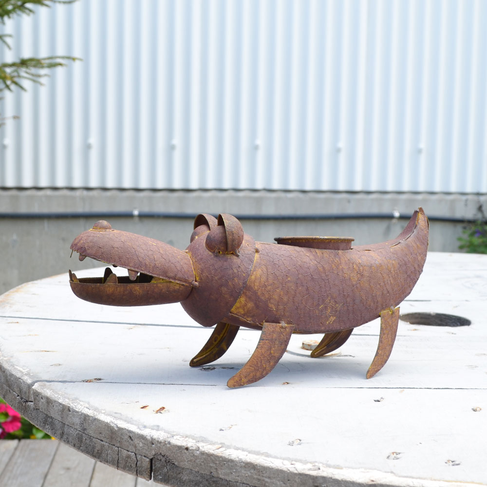 �֥ꥭ���꡼�� �������ץ�󥿡� ����� ��ʪ ��� ���