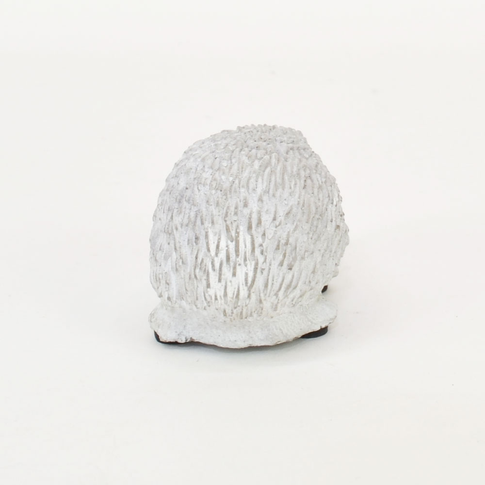 �����ǥ󥪥֥��� �ϥ�ͥ���S �إå��ۥå� �֥�� ��ʪ