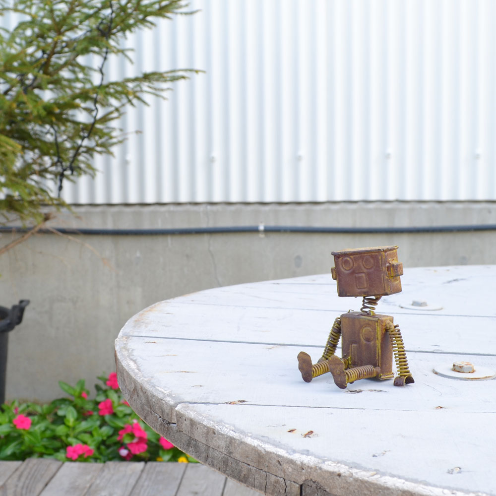 �֥ꥭ���꡼�� �֥ꥭ���ܥå� SS ����ƥ������� ��ʪ