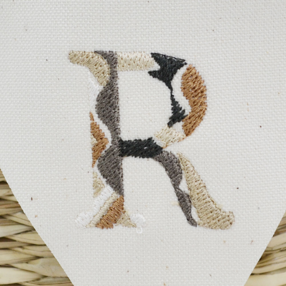 ���˥����ե�å��Х����å� R �������饹 �ʱ߷� 2�ܼ�