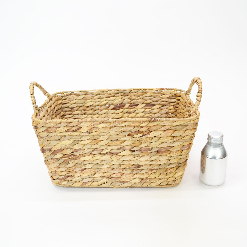 �����������ҥ䥷�� ���ȥ졼���Х����å� NA ��Ǽ����