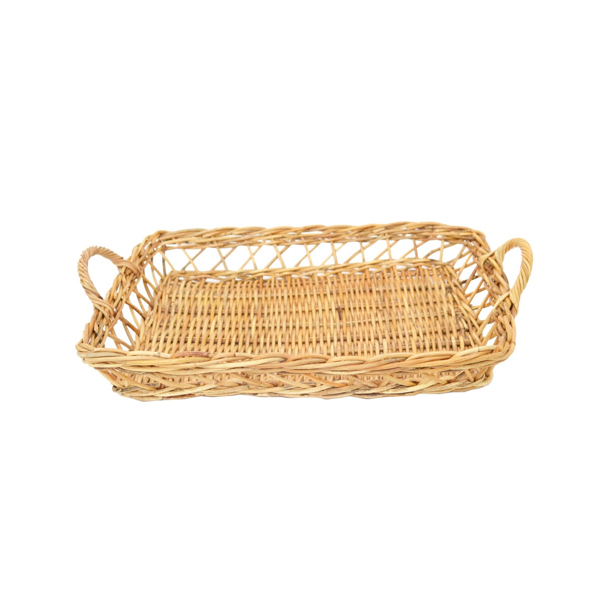 ������� Ʃ�����Ԥ� �ȥ쥤 L �ѥ�ȥ졼 �饿��ȥ졼