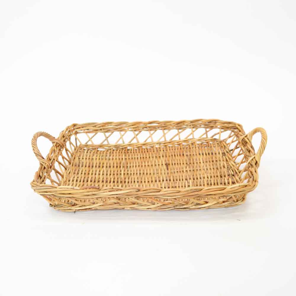 ������� Ʃ�����Ԥ� �ȥ쥤 L �ѥ�ȥ졼 �饿��ȥ졼