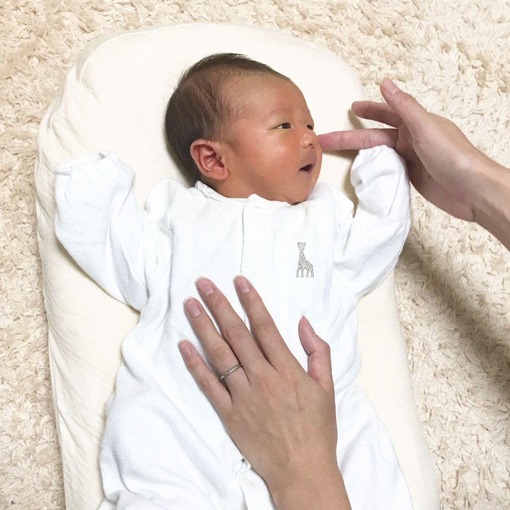 ϤƤΤդȤ ȥåݥ ˥ååȥ󥫥С ۥޥ󸡺 ֤󤪤 ꥸʥ    6  餫 ϥ󥵥 л