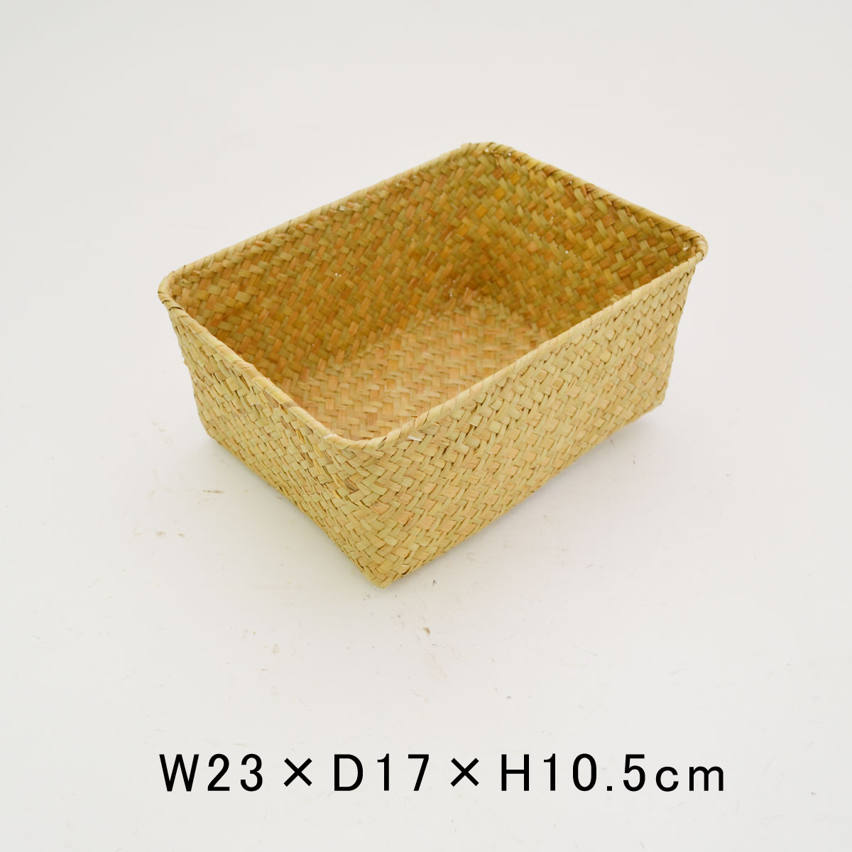 �������饹�λͳѤ��� L ŷ���Ǻ� �������� ��ʪ���� ��