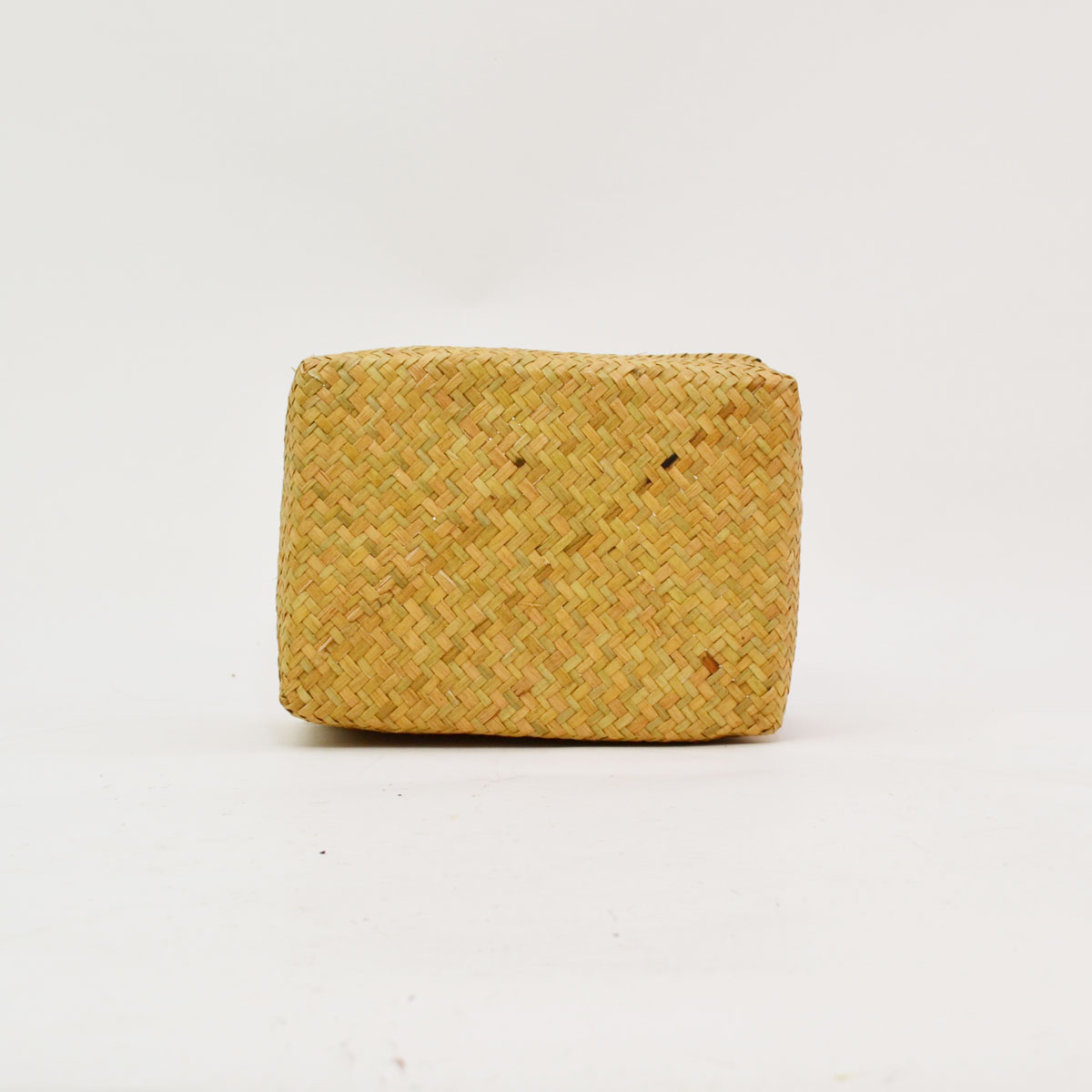 �������饹�λͳѤ��� L ŷ���Ǻ� �������� ��ʪ���� ��