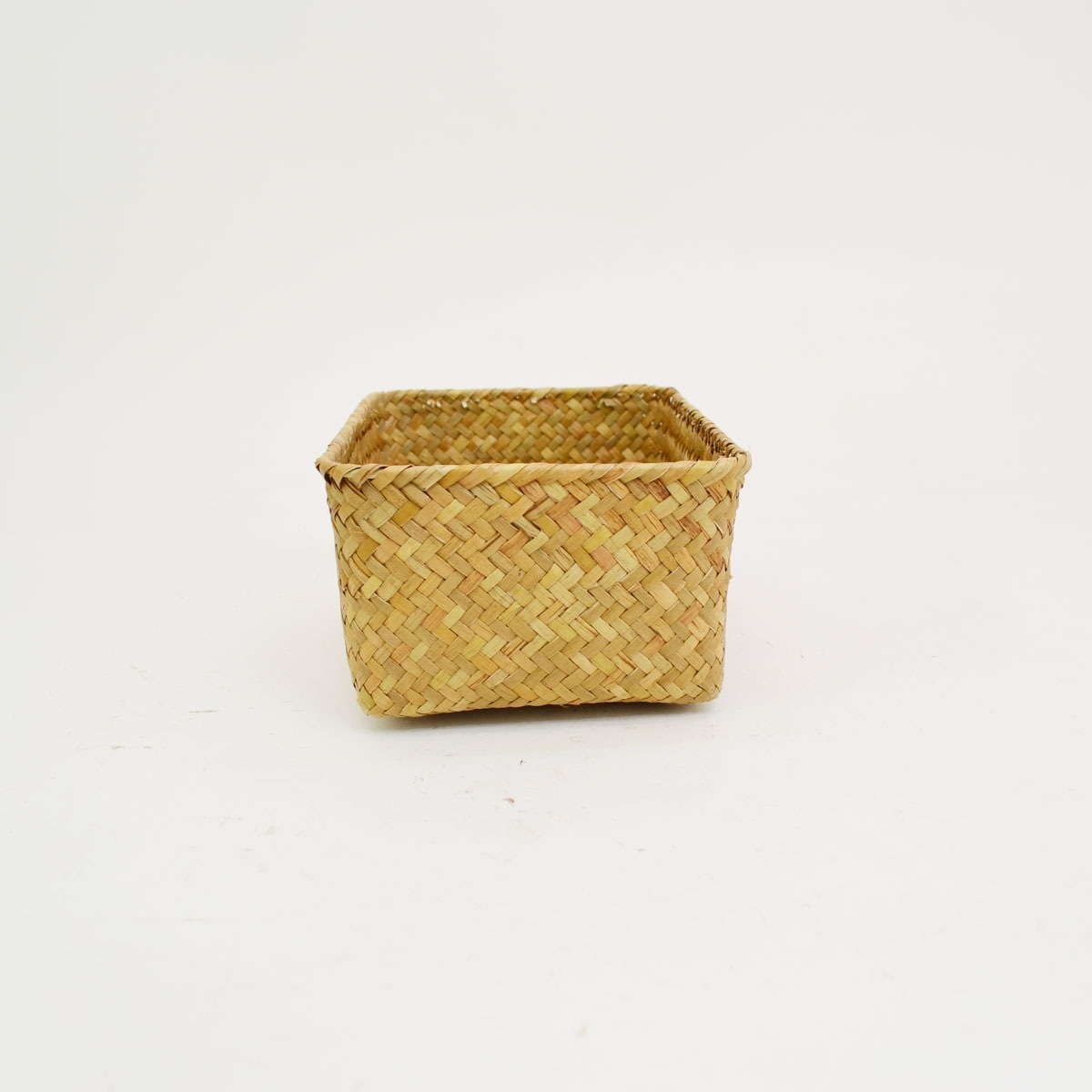 �������饹�λͳѤ��� S ŷ���Ǻ� �������� ��ʪ���� ��