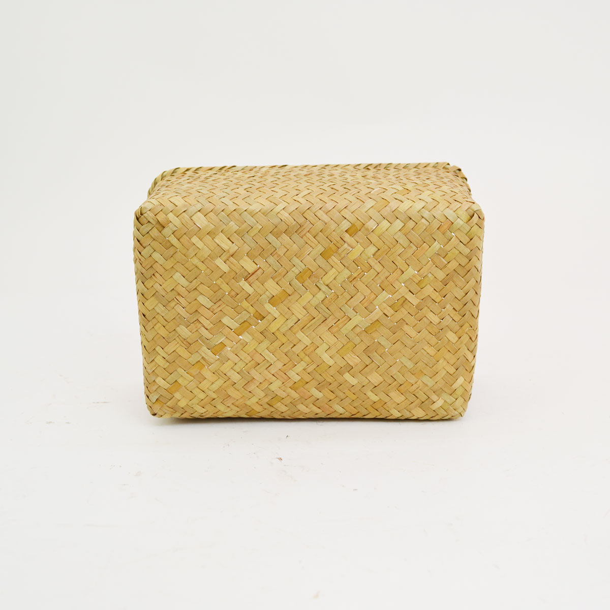 �������饹�λͳѤ��� S ŷ���Ǻ� �������� ��ʪ���� ��