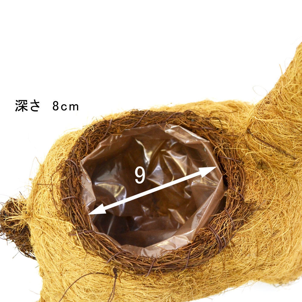 ���˥ޥ�ץ�󥿡� ����� S ���襤�������ȭ ưʪ