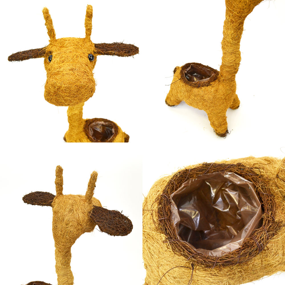 ���˥ޥ�ץ�󥿡� ����� S ���襤�������ȭ ưʪ