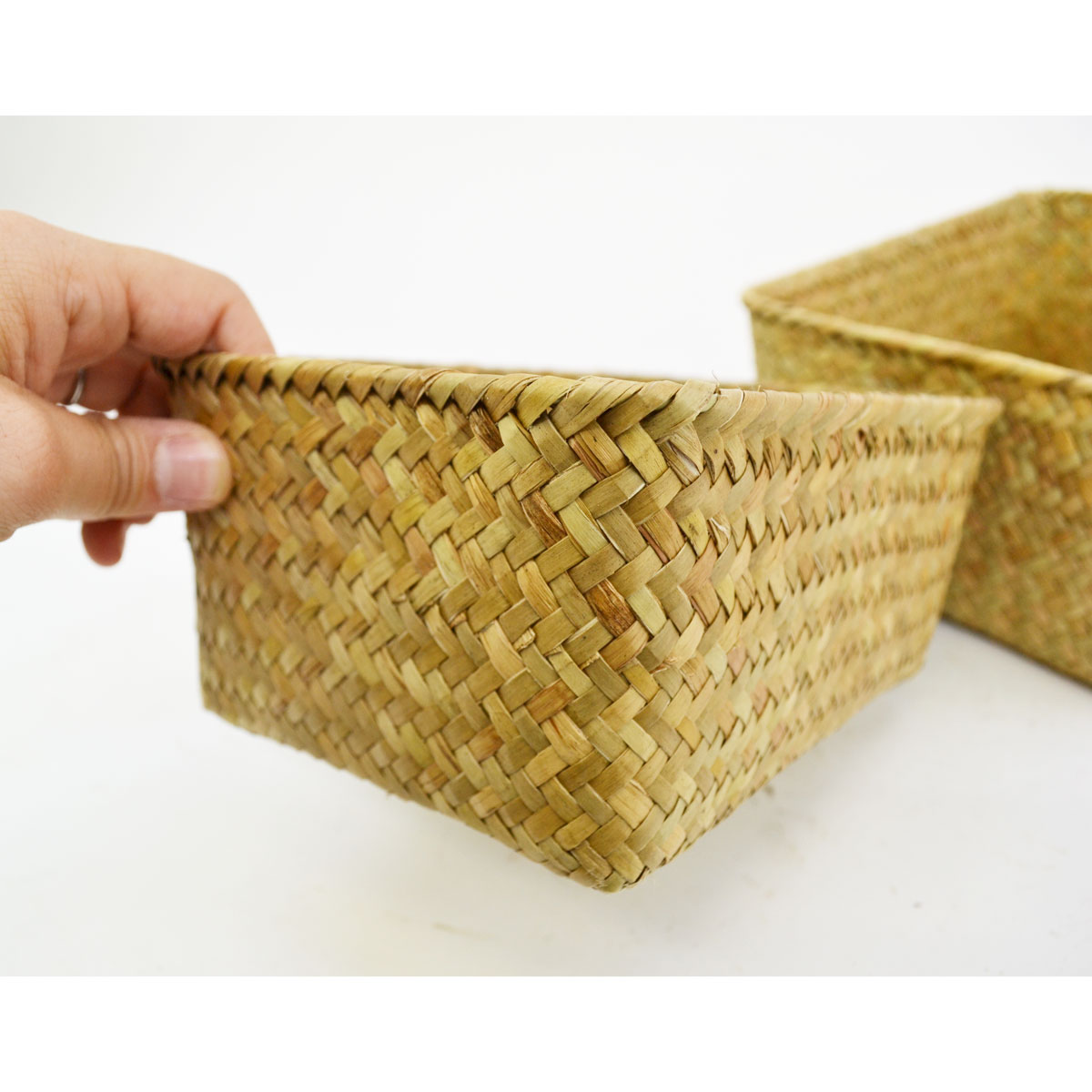 �������饹�λͳѤ��� S��L���å� ŷ���Ǻ� ��ʪ����