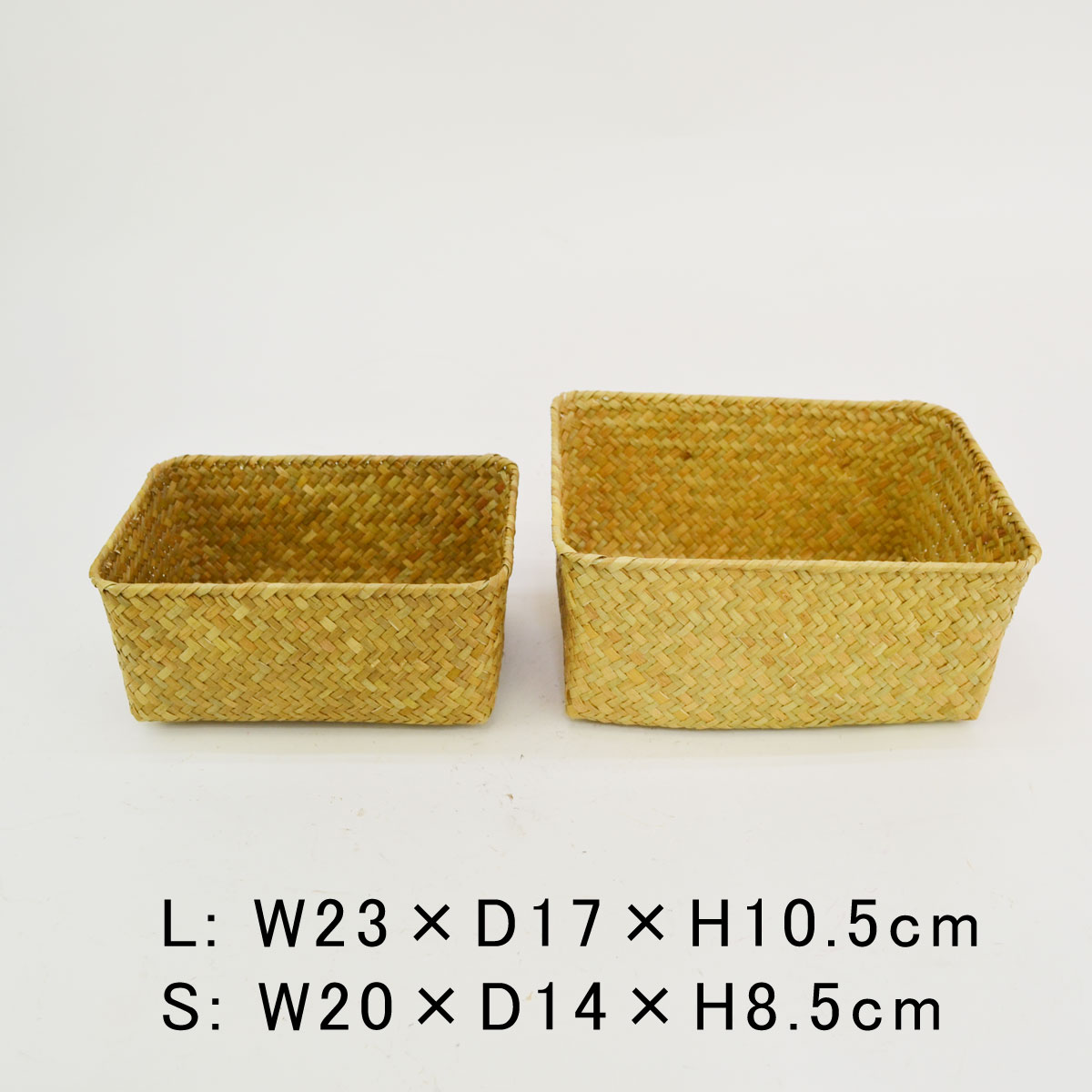 �������饹�λͳѤ��� S��L���å� ŷ���Ǻ� ��ʪ����