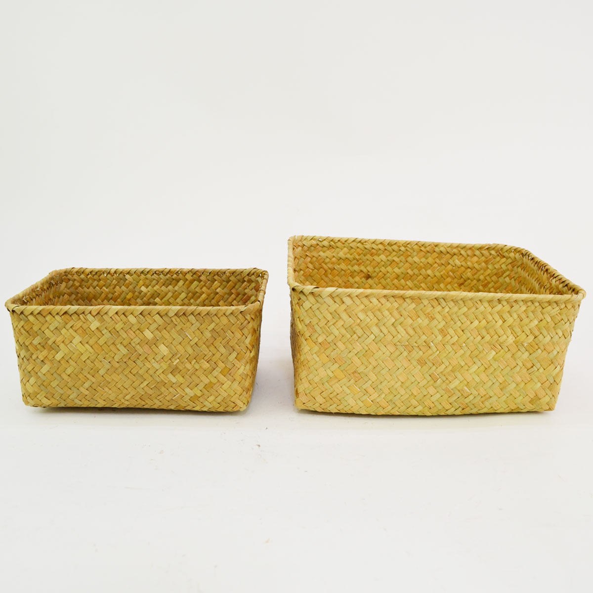 �������饹�λͳѤ��� S��L���å� ŷ���Ǻ� ��ʪ����