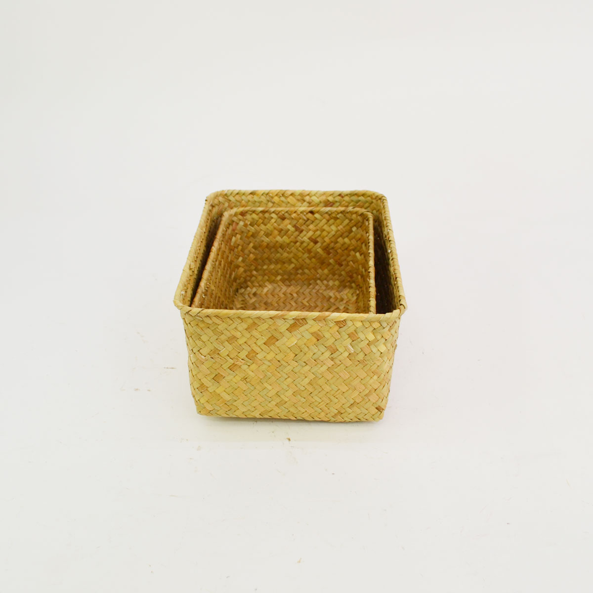 �������饹�λͳѤ��� S��L���å� ŷ���Ǻ� ��ʪ����