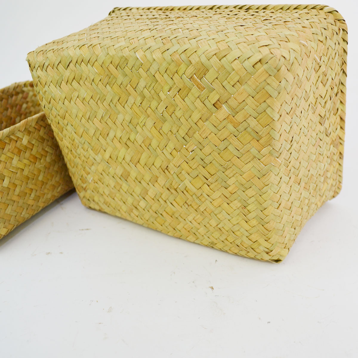 �������饹�λͳѤ��� S��L���å� ŷ���Ǻ� ��ʪ����