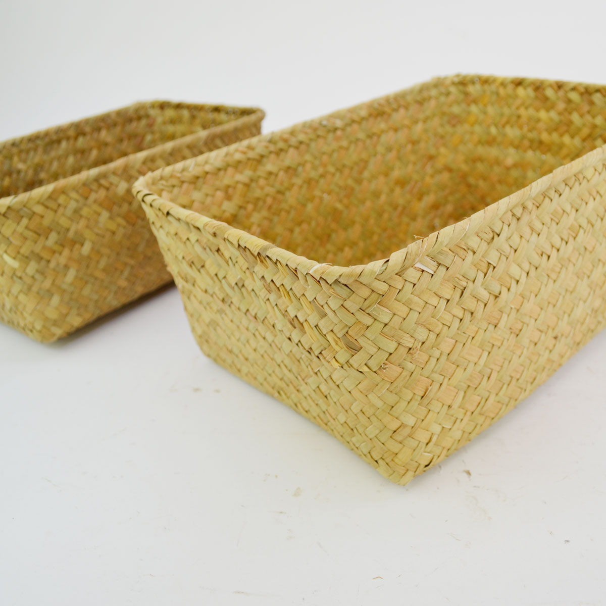 �������饹�λͳѤ��� S��L���å� ŷ���Ǻ� ��ʪ����