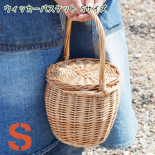 åХå S եդ դ ʥ  Ф  襤 ԥ˥å ե˸ ǥ Ȥʤ ƥꥢ Ǽ ץ ʪ   ǼХå