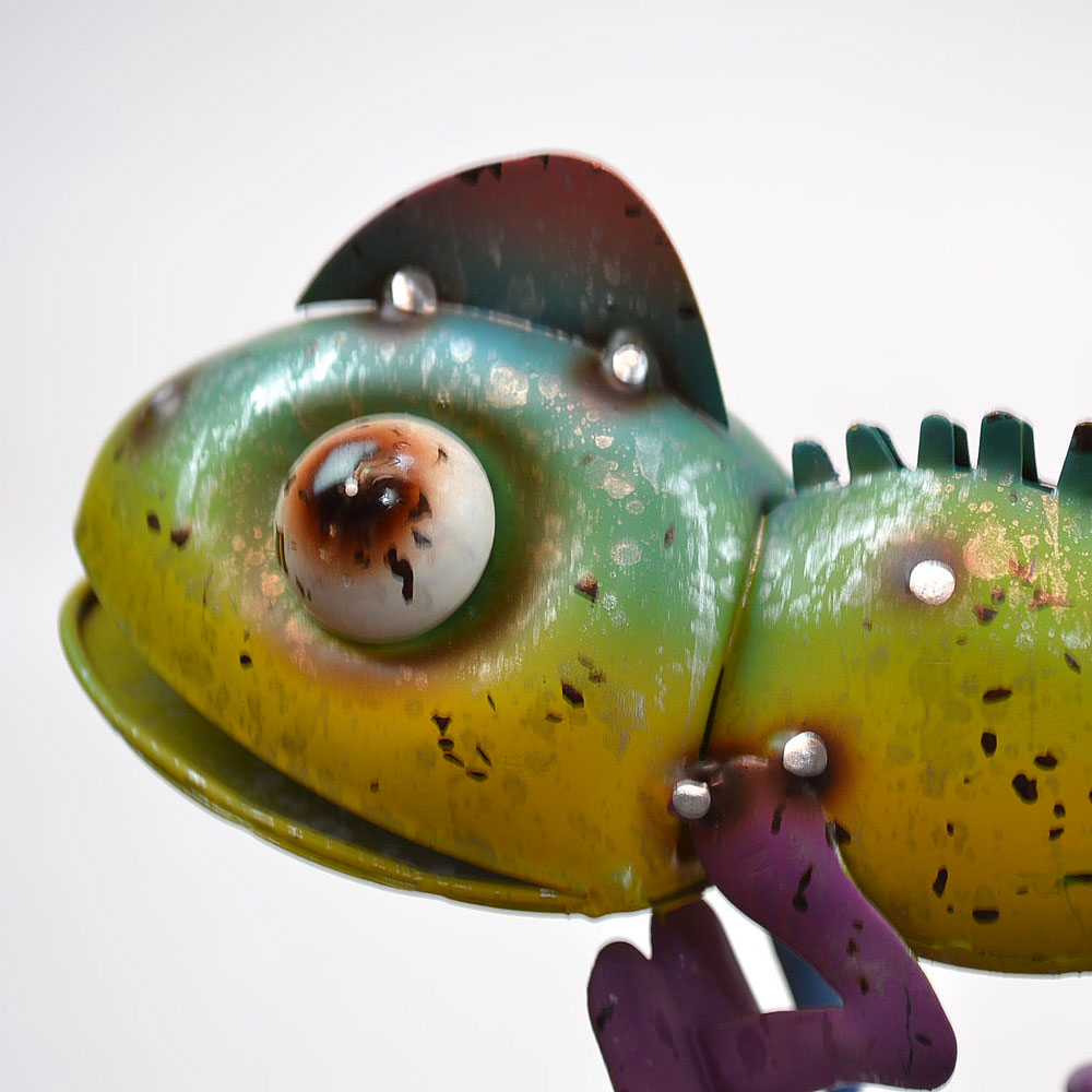 ����ե�֥ꥭ ����쥪�� �������� ���꡼�� ��ʪ ����