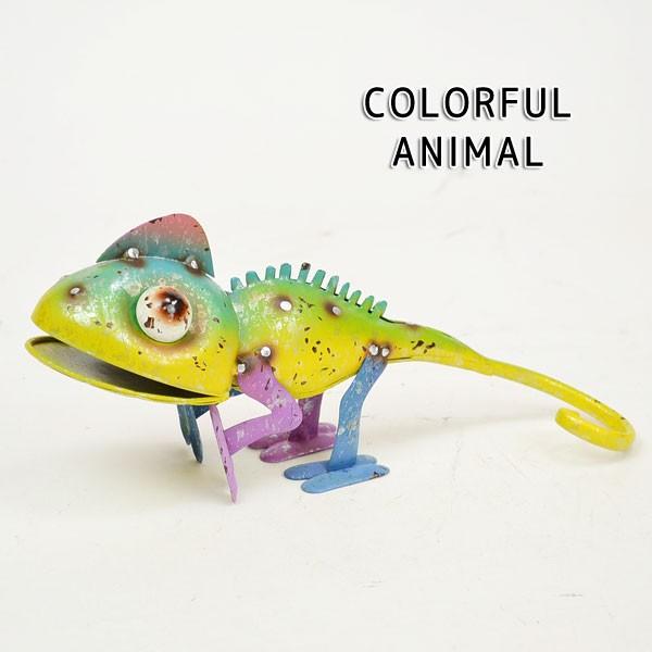 ����ե�֥ꥭ ����쥪�� �������� ���꡼�� ��ʪ ����