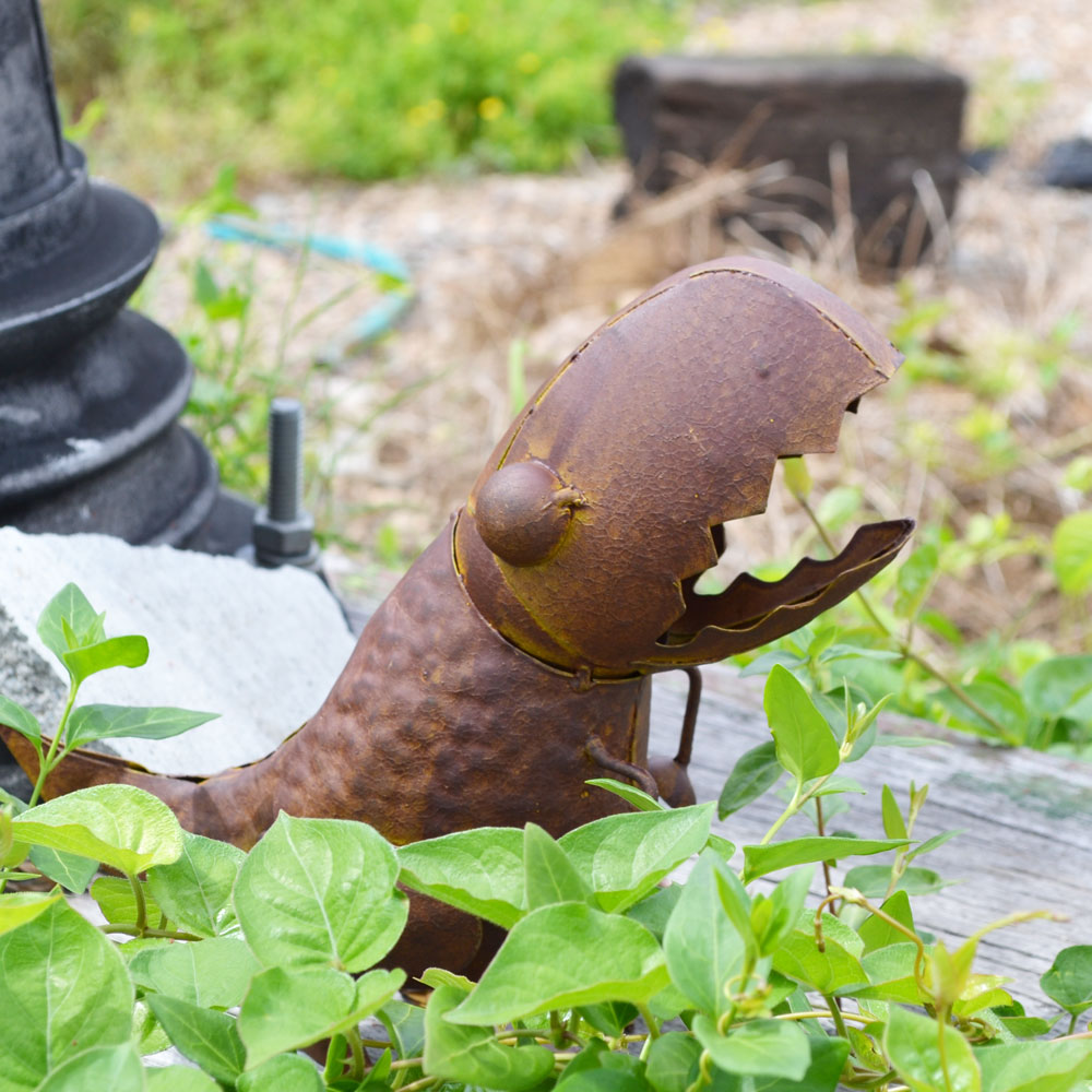 �֥ꥭ���꡼�� �᥿��T��å��� �����ʥ��� ��ε ���֥���