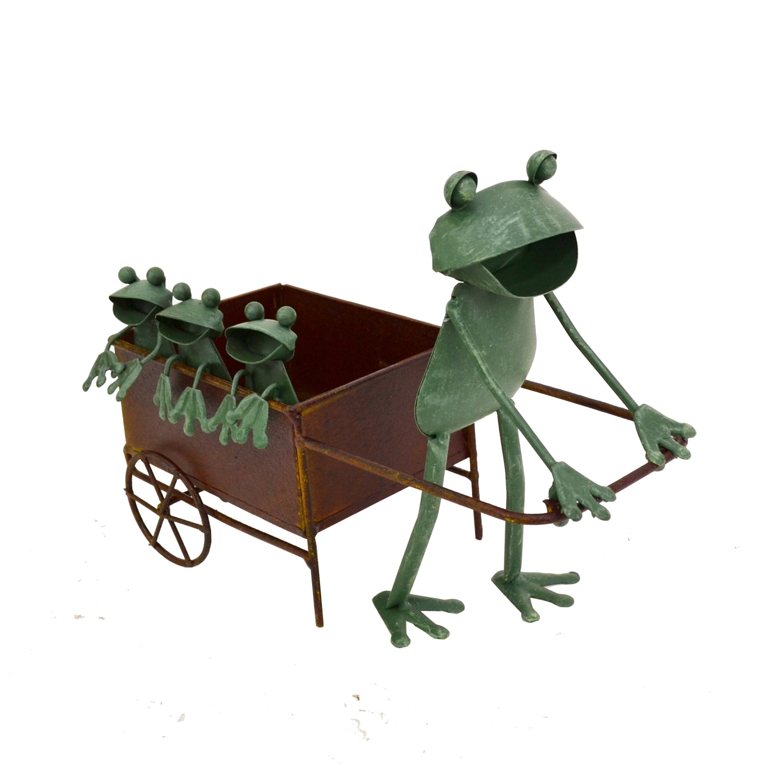 ֥ꥭ꡼ ֥ꥭ Ϣ쥫 ֥