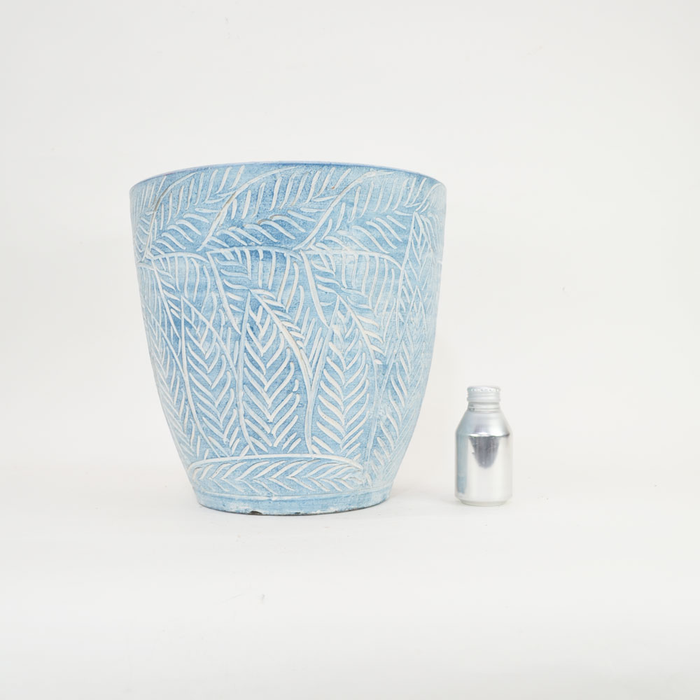 ���顼�ƥ饳�å�ȭ ����ȭ �֥롼�꡼��L �ץ�󥿡� 12�� ��