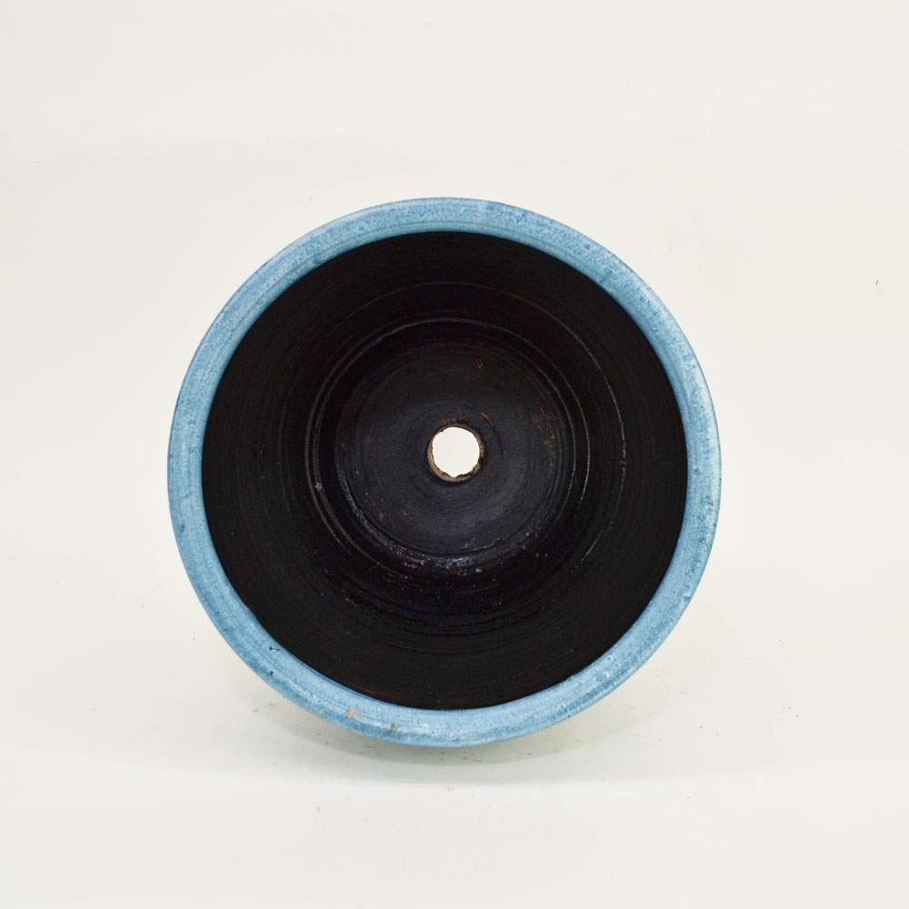 ���顼�ƥ饳�å�ȭ ����ȭ �֥롼�꡼��L �ץ�󥿡� 12�� ��