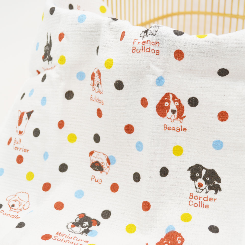 ��̤��������� �����ե� ������� ���������� ���� ��