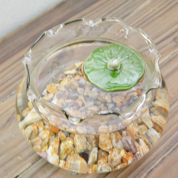 �ե����ȭ �� ���饹�� �ä����� ���󤮤�ȭ �����ȭ �ä����� �Τʤ���ο��� ��ȭ������������ ���� �������ꥦ�� �������ץ��� �������� �礭�᥵����