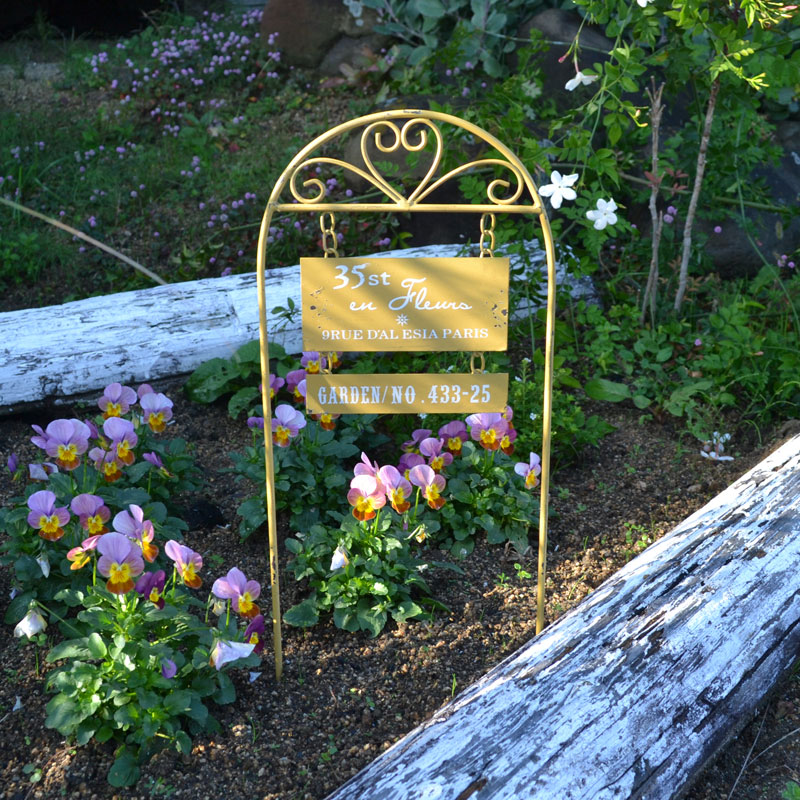 �����ǥ�ԥå� �ե��� �������� �������� ������� Ŵ