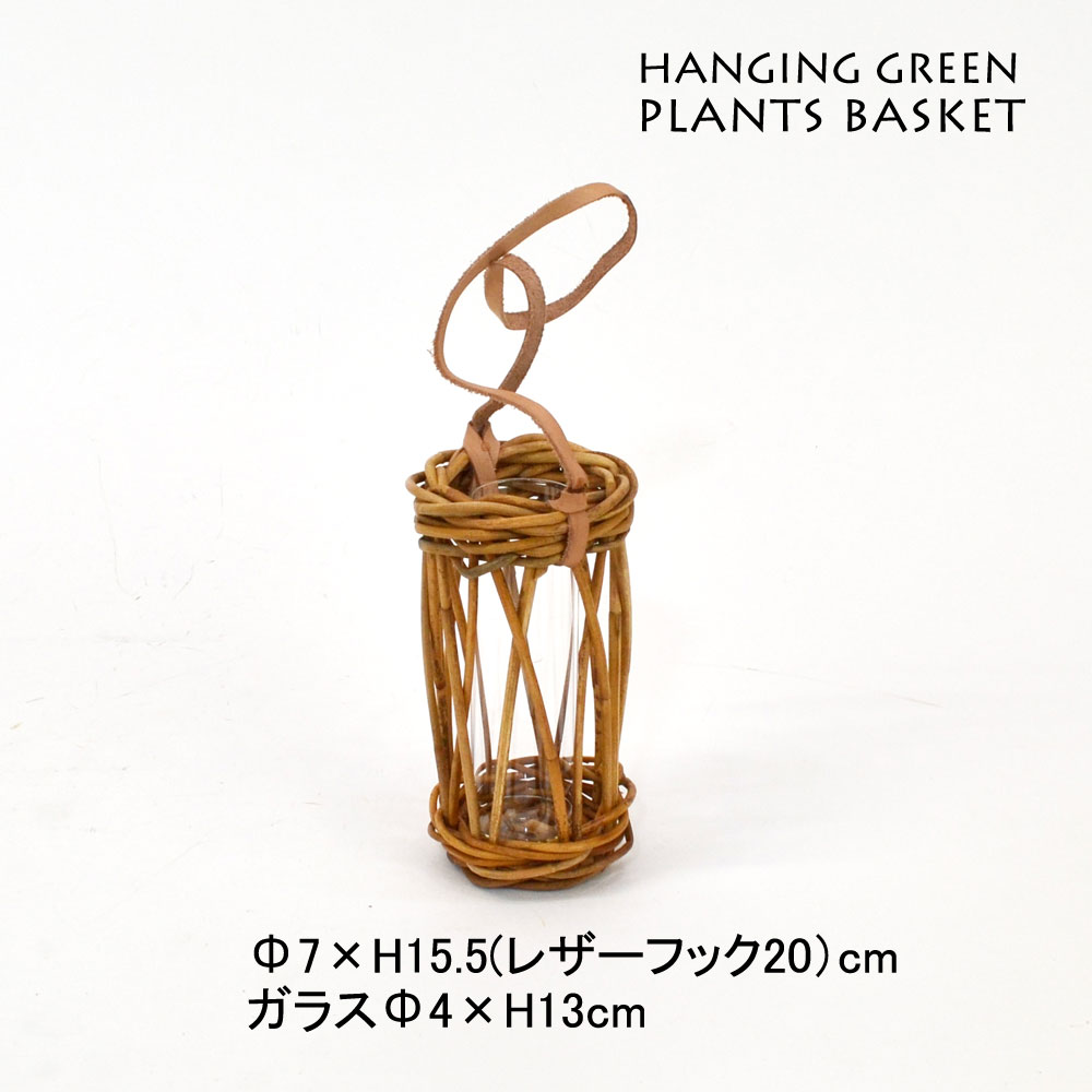 ������� �ϥ󥮥󥰥ե��١��� �쥶�� 1Ϣ ŷ���Ǻ�