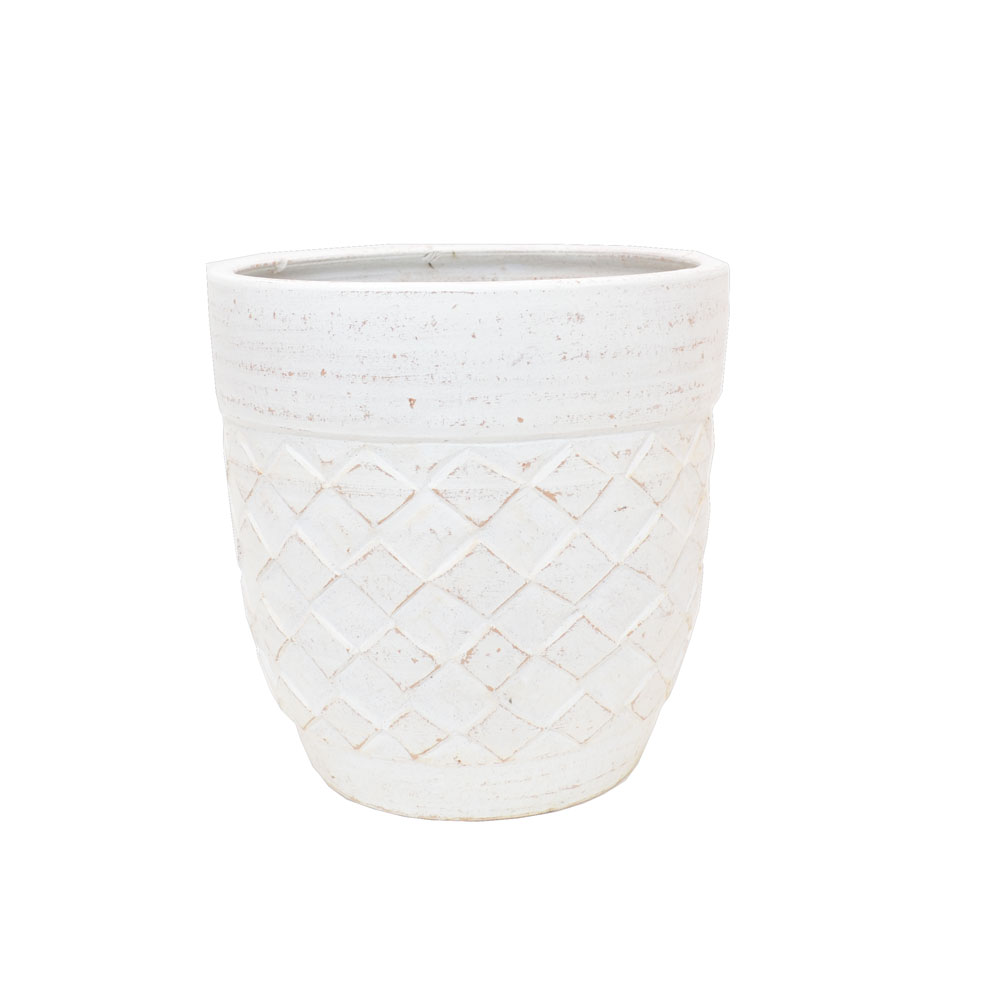 ���顼�ƥ饳�å�����ȭ �ץ�󥿡� ������ L 12�� ��