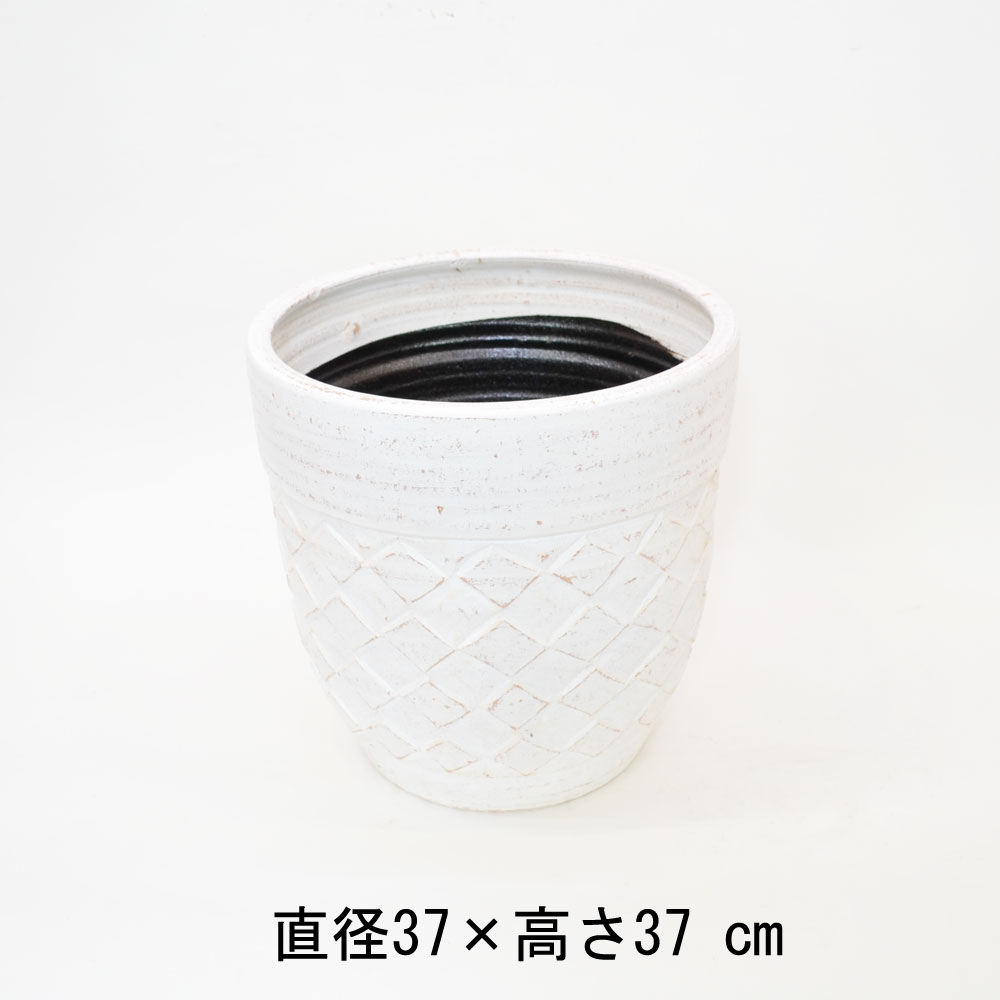 ���顼�ƥ饳�å�����ȭ �ץ�󥿡� ������ L 12�� ��